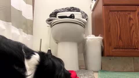 tRex online show from November 22, 2025, 4:11 am