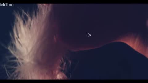 TAANNI online show from September 18, 2025, 10:34 pm