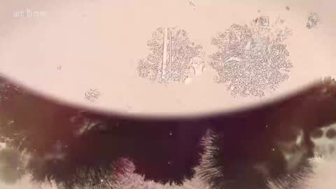 TAANNI online show from February 22, 2026, 10:08 pm