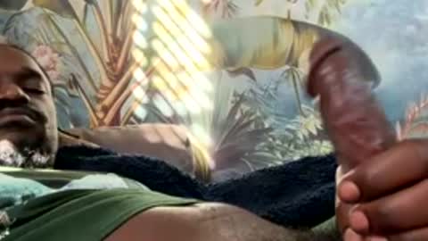 tacovegan4 online show from December 16, 2025, 3:28 pm