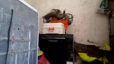 tadfn online show from February 27, 2026, 7:47 pm