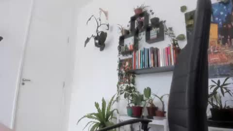 Tali Majid online show from November 26, 2025, 11:44 am