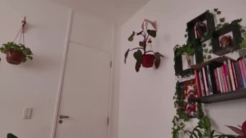 Tali Majid online show from February 10, 2026, 2:32 pm