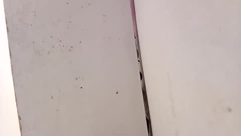 tall6feet7inch online show from February 15, 2026, 3:31 pm