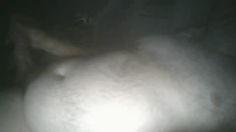 Snapshot of tallicas2000 chatting on July 16, 2026, 1:44 am tallicas2000 online show from July 16, 2026, 1:44 am
