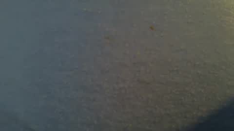 Snapshot of tallwxguy chatting on May 22, 2026, 6:13 pm tallwxguy online show from May 22, 2026, 6:13 pm