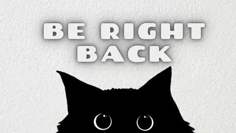 Rousaly online show from February 25, 2026, 11:09 am