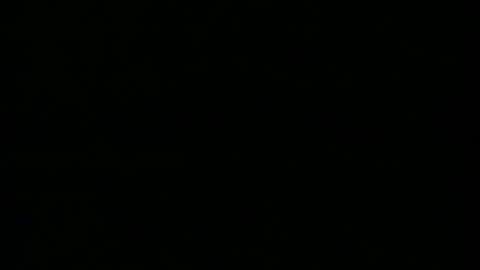 taneyone online show from December 5, 2024, 6:44 pm