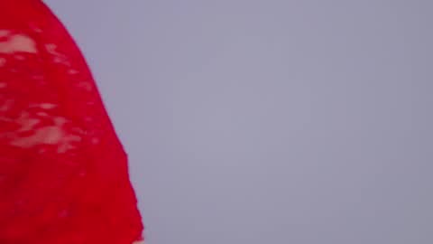 Tania Amore online show from November 25, 2025, 6:52 pm