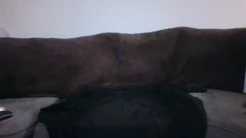 tarshil017 online show from November 12, 2025, 8:26 am