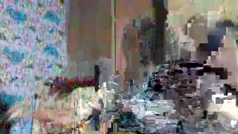 tasty_olive online show from March 2, 2025, 6:27 am