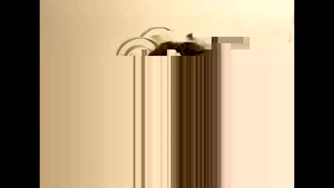 Snapshot of tastytexas24 chatting on February 9, 2026, 12:47 am tastytexas24 online show from February 9, 2026, 12:47 am