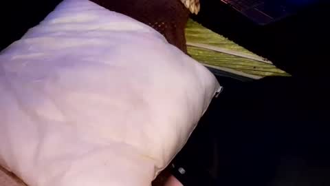 Jean pool online show from October 31, 2025, 6:58 am