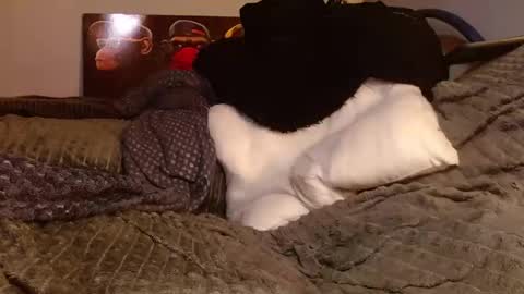 Jean pool online show from March 28, 2026, 5:45 pm