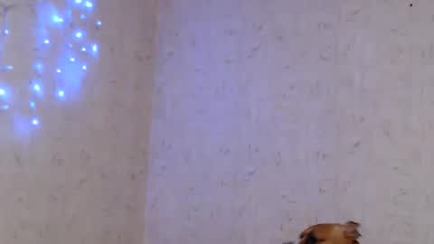 Taya online show from January 9, 2026, 9:05 pm