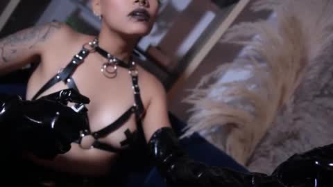 Snapshot of taylorharp chatting on October 25, 2025, 4:24 pm Taylor online show from October 25, 2025, 4:24 pm