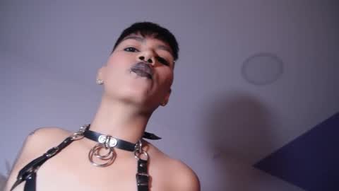 Snapshot of taylorharp chatting on November 5, 2025, 8:09 pm Taylor online show from November 5, 2025, 8:09 pm