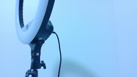 Snapshot of taylorsmitth_ chatting on November 13, 2025, 11:53 am TAYLOR online show from November 13, 2025, 11:53 am