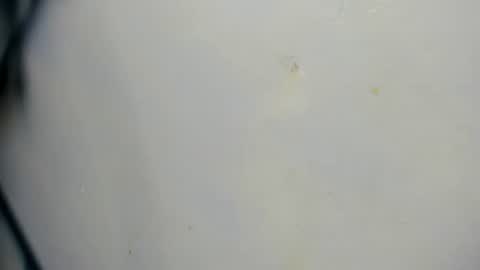 taz_box online show from June 21, 2026, 11:51 pm