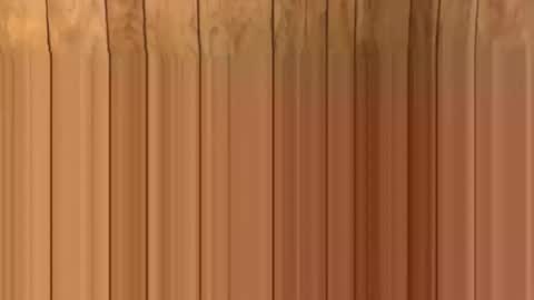 tcelpighurjt online show from June 10, 2026, 5:39 am
