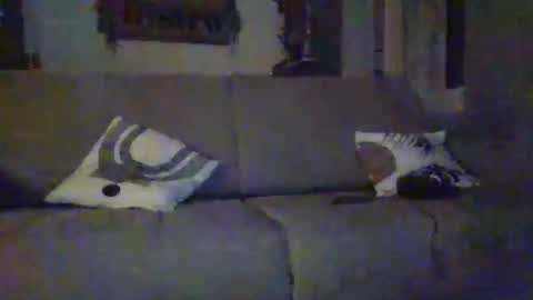 Snapshot of tchoop64 chatting on December 21, 2025, 8:27 pm tchoop64 online show from December 21, 2025, 8:27 pm