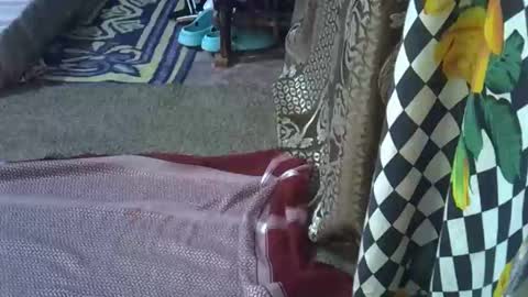 teabody1 online show from March 8, 2026, 8:12 pm