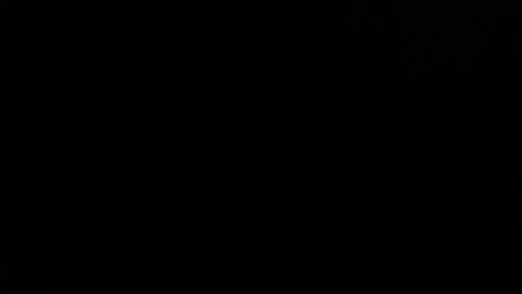 queen online show from February 28, 2025, 2:20 pm