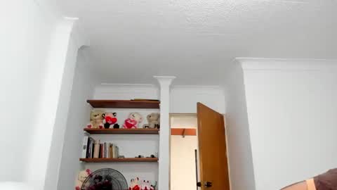 Snapshot of teles10 chatting on February 3, 2025, 1:30 pm Teles2023 online show from February 3, 2025, 1:30 pm