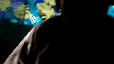 tennesseea online show from November 23, 2025, 3:23 pm