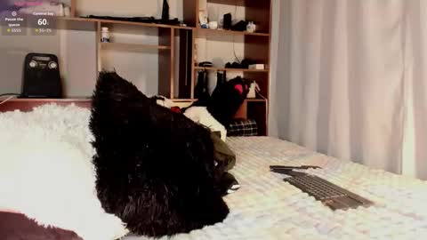 Teo online show from March 26, 2026, 10:04 pm