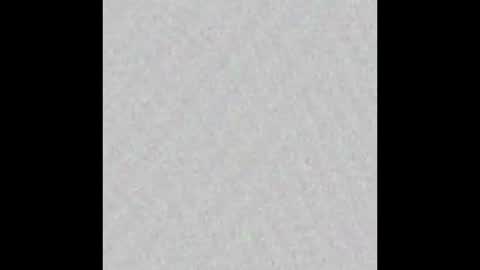 Snapshot of texpig chatting on September 26, 2025, 12:09 pm TexPig online show from September 26, 2025, 12:09 pm