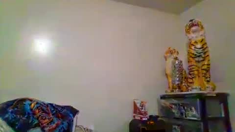 Snapshot of thatgirl4201 chatting on November 15, 2025, 5:27 am thatgirl4201 online show from November 15, 2025, 5:27 am