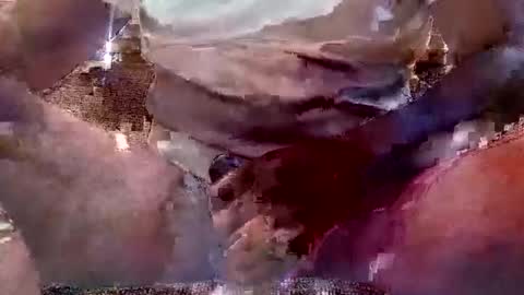 Snapshot of thatguy_bda22 chatting on February 11, 2025, 1:51 pm That Guy J online show from February 11, 2025, 1:51 pm