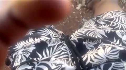 Snapshot of thatoneguy2802 chatting on January 17, 2026, 7:57 am thatoneguy2802 online show from January 17, 2026, 7:57 am