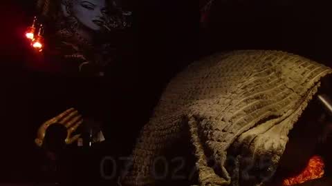 GIORGGIO online show from February 7, 2025, 3:30 pm