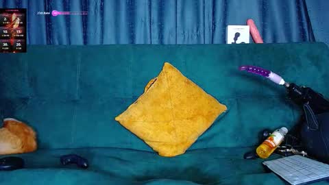 the dog lian online show from March 7, 2026, 2:19 am