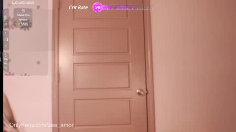 Zee Amor online show from January 5, 2025, 2:08 pm