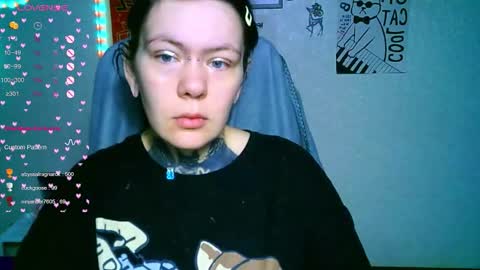 the_ice_owl online show from November 22, 2025, 1:37 am