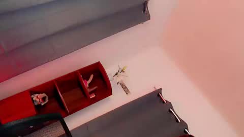 Snapshot of the_naughty_kyra chatting on February 9, 2025, 3:22 am the_naughty_kyra online show from February 9, 2025, 3:22 am