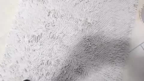 TheOne online show from April 8, 2026, 8:42 pm