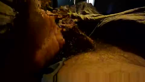 thebest153 online show from April 3, 2026, 2:26 pm