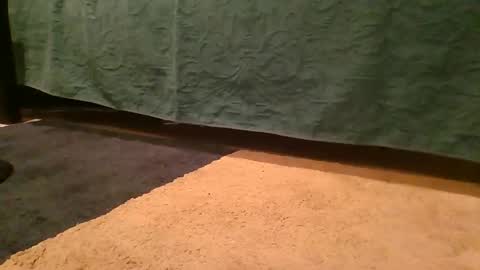 thedickhard1010 online show from April 2, 2026, 4:32 am