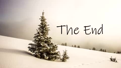 thedome372 online show from October 23, 2025, 8:18 pm