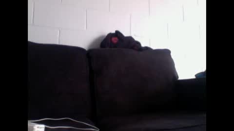 thee304slayer online show from December 16, 2025, 11:10 pm