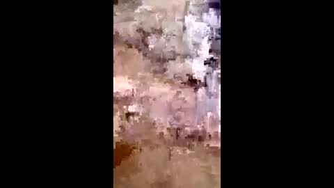 Snapshot of thegolden_lina chatting on April 8, 2026, 11:37 pm Golden Lina online show from April 8, 2026, 11:37 pm