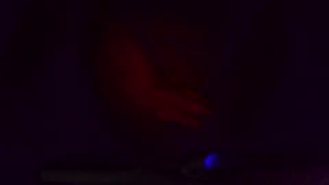 thegreat6268469 online show from March 8, 2025, 5:28 am