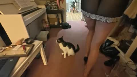 theladyduchess online show from April 18, 2026, 12:47 am