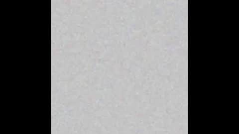 thenonbinarykat online show from January 7, 2026, 4:48 am