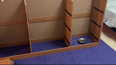 therealdylansdick online show from November 15, 2025, 12:41 am