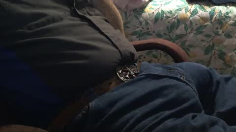 thetnguy online show from December 21, 2024, 12:42 am